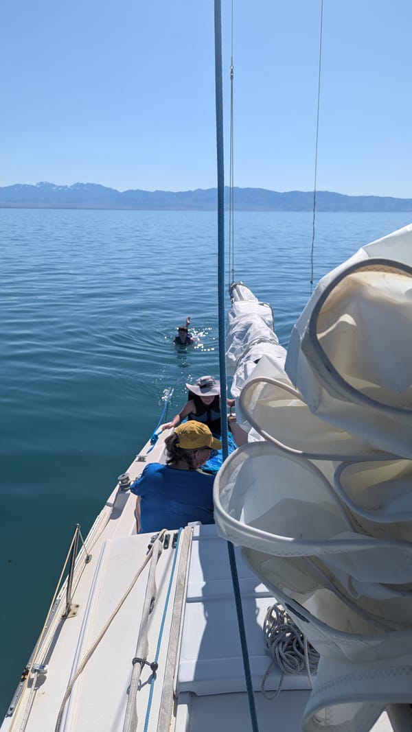 Sailing and a swim
